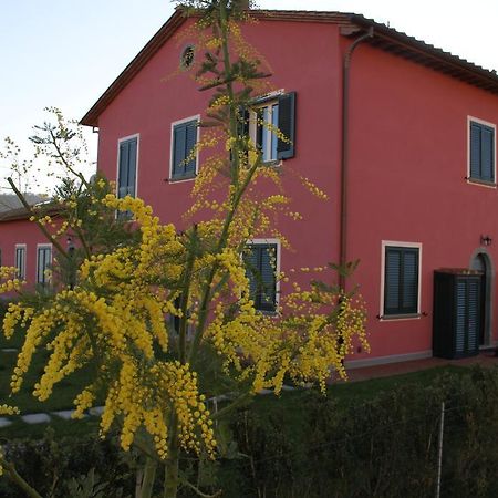 Agriturismo Casa Rosa Λούκα Εξωτερικό φωτογραφία